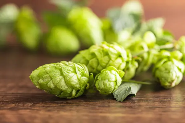 Green hops crop on a wooden table.