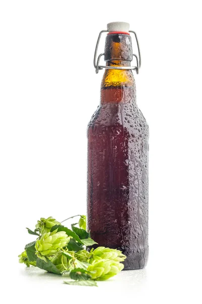 Beer Bottle Green Hops Plant Isolated White Background — Stock Photo, Image