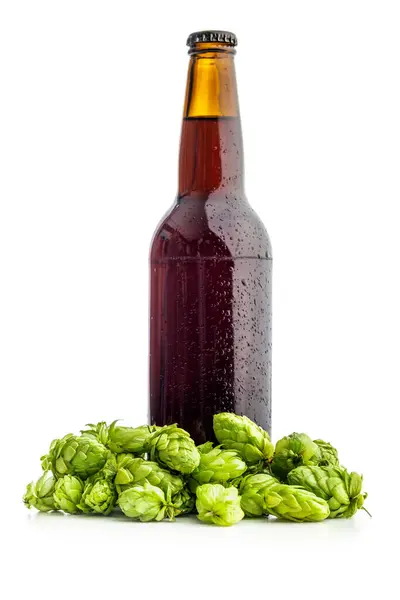 Bier Fles Groene Hop Plant Geïsoleerd Witte Achtergrond — Stockfoto