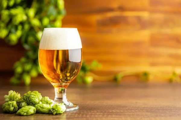 Glas Bier Und Hopfen Auf Dem Holztisch — Stockfoto
