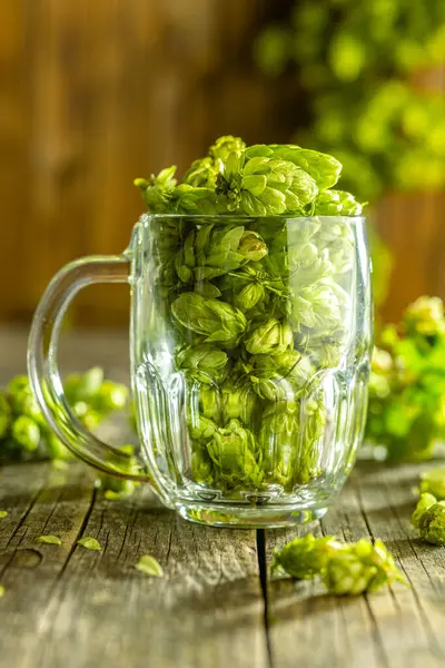 Grüner Hopfen Bierglas Auf Dem Holztisch — Stockfoto