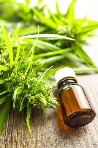 Marijuana Buds Cannabis Plant Oil Glass Bottle — Stock Photo, Image