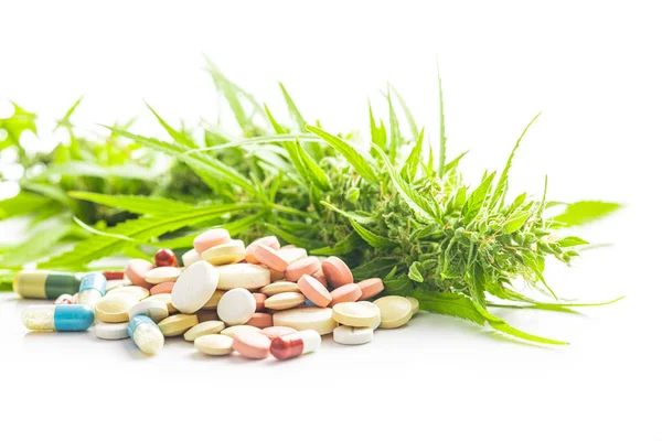 Gemas Marijuana Cannabis Planta Pílulas Isoladas Fundo Branco — Fotografia de Stock