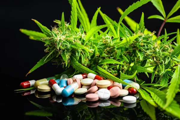Marihuanové Poupata Rostlina Konopí Pilulky Černém Stole — Stock fotografie