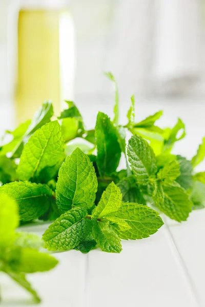 Green Mint Leaves White Table — Stock Photo, Image