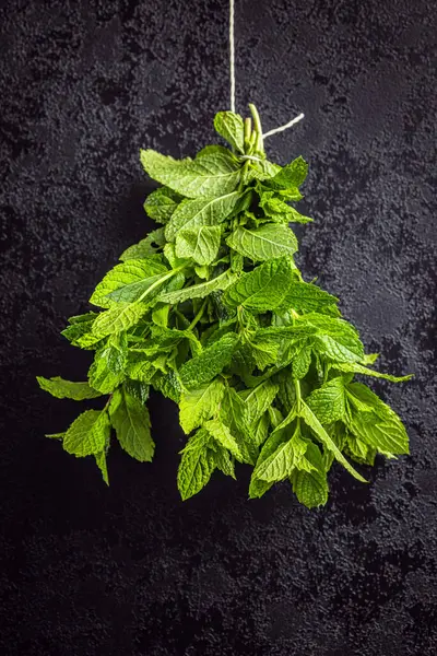 Green Mint Leaves Black Background — Stock Photo, Image