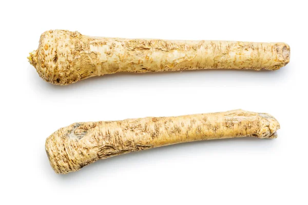 Fresh Horseradish Root Isolated White Background — Stock Photo, Image