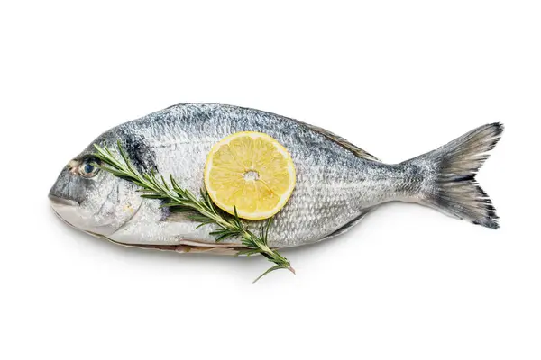 新鮮な海のブラム魚 ローズマリー レモンは白い背景に隔離されました ロイヤリティフリーのストック画像