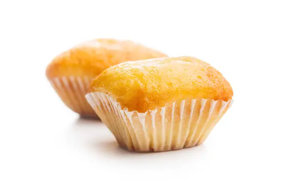 马格达莱纳斯 典型的西班牙普通松饼 在白色背景下被隔离 免版税图库照片