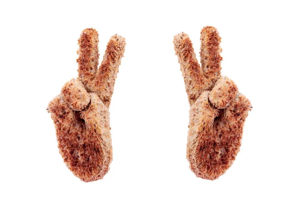 Two Bread Hands Peace Sign Made Toasted Brown Bread Slice — Stok fotoğraf