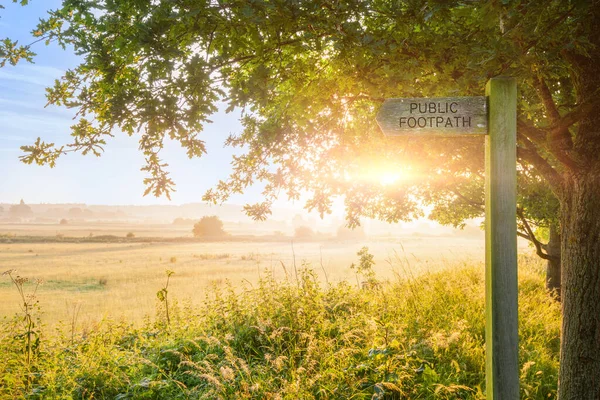 Sonnenaufgang Auf Öffentlichem Fußwegschild Und Britischer Landschaft Hintergrund Mit Bäumen Stockbild