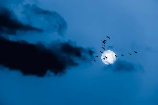 Gänse Fliegen Nachts Vor Einem Vollmond Mit Dunklen Wolken Und lizenzfreie Stockfotos