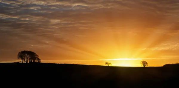 Dawn Sunrise Landelijke Horizon Met Boom Silhouet Omtrek Norfolk Engeland — Stockfoto
