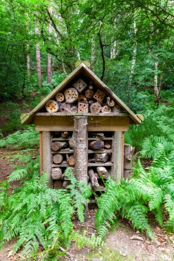 Ormandaki büyük böcek oteli ve küçük çatılı odun ve odunlardan yapılmış eğreltiotları.