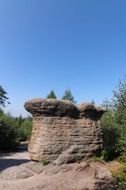 Stone Mushrooms - rock formation in Broumov Walls (Broumovske steny), mountain range and nature reserve, part of Table Mountains in Czech Republic
