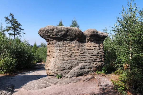 石のキノコ ブロウモフ壁の岩の形成 ブロウモフステンシー 山脈と自然保護区 チェコ共和国のテーブル山の一部 — ストック写真