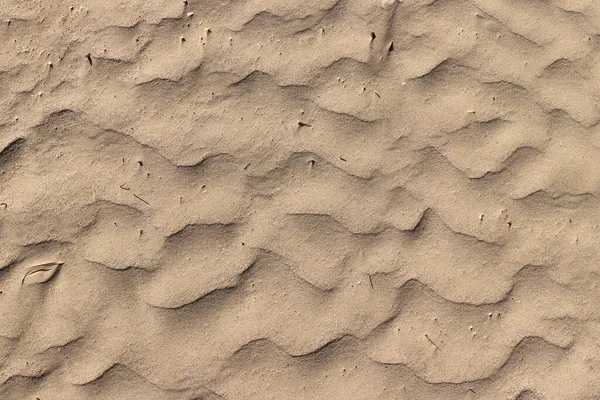 Detail Jemného Písku Pláži — Stock fotografie