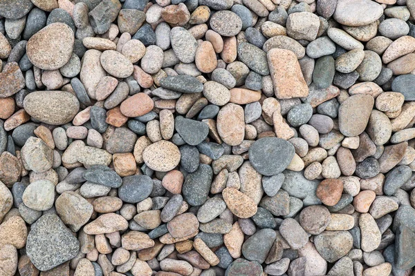 Detail Various Sea Pebbles Gravel Stones — Stock Photo, Image