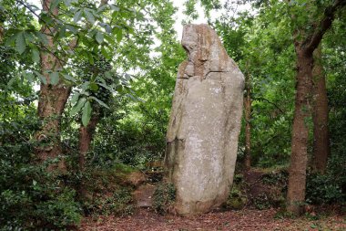 Menhir La Bonne Femme - İngilizce The Good Woman - Trebeurden yakınlarındaki Veades, Fransa