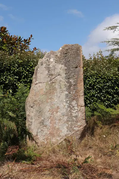 Kerariou의 Menhir 프랑스 브르타뉴의 Trebeurden 근처의 기념물 — 스톡 사진
