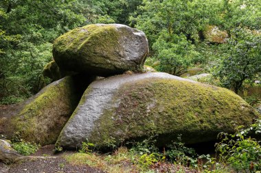 Le Chaos de Rochers veya Kaos of Rocks - Huelkeçi Ormanı, Brittany, Fransa 'da yüzlerce büyük kaya yığını