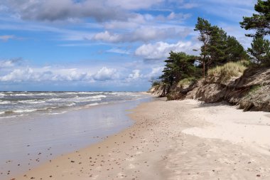 Baltık Denizi kıyısı ve Slovincian Ulusal Parkı 'ndaki hareket eden kum tepelerinin yanındaki vahşi plaj, Polonya' daki Slowinski Ulusal Parkı olarak da bilinir.