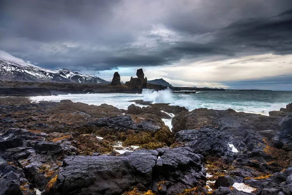 在冰岛斯奈弗勒斯半岛的龙得兰加前 海浪冲撞在海岸线上 龙得兰加是一对玄武岩 火山岩和海草前景广阔 雪山覆盖 — 图库照片