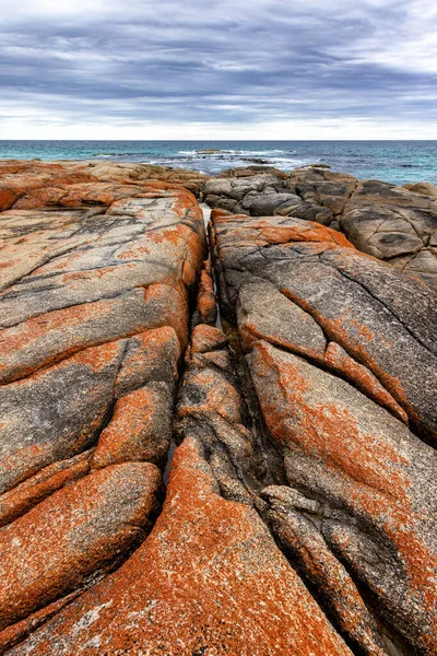 태즈메이니아 북동부에 불만에는 바다로 이어지는 이끼덮인 화강암 바위들이 — 스톡 사진