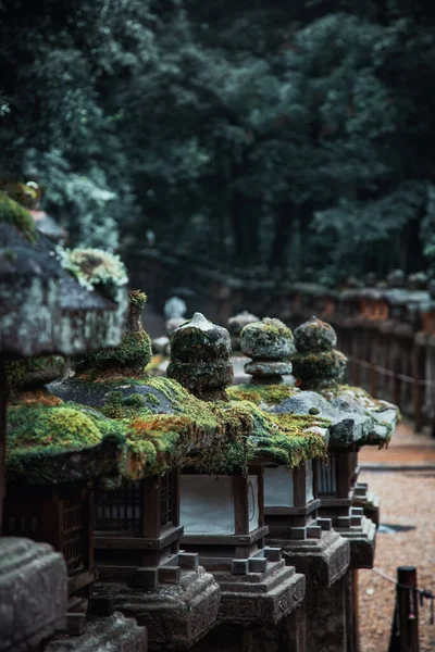Stenen Tempel Lantaarns Bij Kasuga Taisha Lantaarn Shinto Heiligdom Nara — Stockfoto
