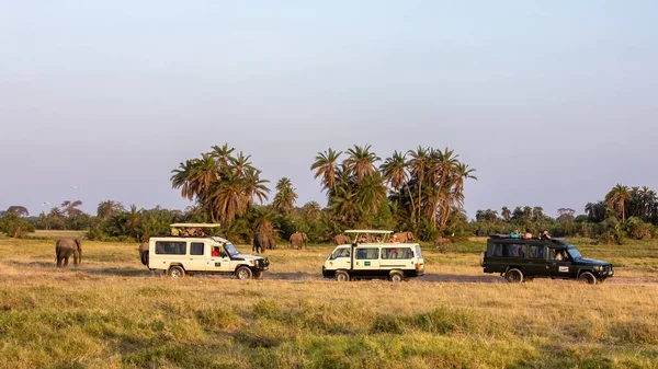 Amboseli Kenya 2019 Február Turisták Egy Nagy Elefántcsordát Loxodonta Africana — Stock Fotó