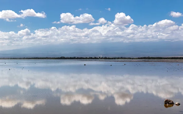 Schöne Spiegelung Des Sommerhimmels Amboseli See Mit Flamingos Horizont Panorama — Stockfoto