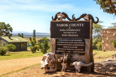 Sign in the Masai Mara, Kenya, warning of the dangers of wild animals. There arer buffalo and an elephant skulls around it.  clipart