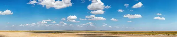 全景尽收眼底 映入眼帘的是一片广袤的非洲草原 蓝蓝的天空闪烁着柔和的云彩 凸显了自然风光的美丽 — 图库照片#