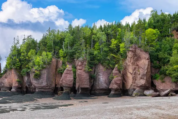 Flowerpot Rock Formations Hopewell Rocks Bay Fundy Nouveau Brunswick Marée Images De Stock Libres De Droits