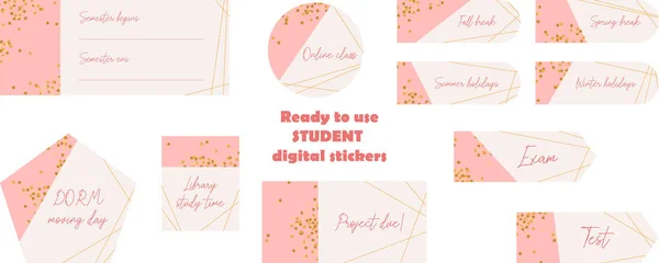 准备使用粉色和金色学生数码贴纸 用于子弹记日记或计划的数字笔记纸和贴纸 回到学校计划的贴纸 矢量艺术 — 图库矢量图片