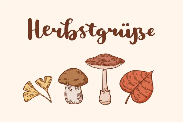 Almanca Sonbahar Harfleri Herbst Grusse Ngilizce Sonbahar Selamları Anlamına Gelir — Stok Vektör