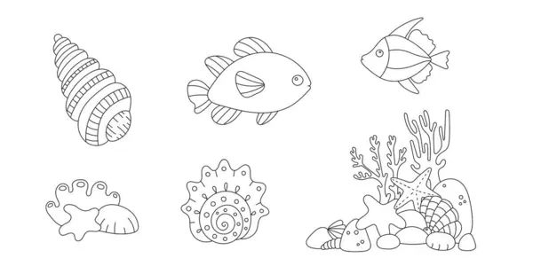 线条艺术着色页 儿童和成年人的染色活动 漂亮的鱼 贝壳和海星 病媒涂鸦 病媒涂鸦 矢量图形