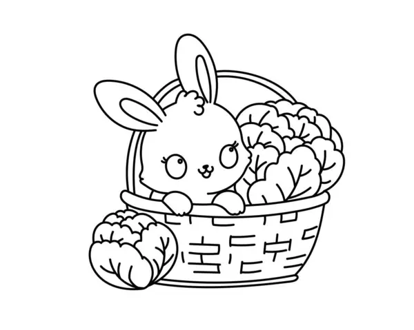 Kawaii系列儿童彩绘页面 幼儿园或幼儿园的色彩活动 可爱的兔子和卷心菜坐在篮子里 Kawaii兔子病媒图解 矢量图形
