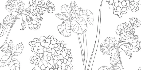 Omalovánky Pro Dospělé Omalovánky Čáře Krásné Ručně Kreslené Květiny Barevné Vektorová Grafika