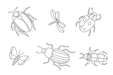 Çocukları boyamak için sevimli böcek vektör koleksiyonu. Kelebek, uğur böceği, böcek ve yusufçuk gibi ana hatları olan böcekler. Elle çizilmiş siyah beyaz çizimler.
