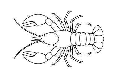 Istakoz boyama sayfası vektör çizimi, okyanus temalı çocuklar ve yetişkinler için el çizimi kerevit taslağı