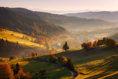 Gün doğumunda Tatra Dağları 'nın altında güzel sonbahar manzarası. Slovakya