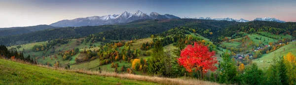 Gündoğumunda Belianske Tatras Panoraması Slovakya — Stok fotoğraf