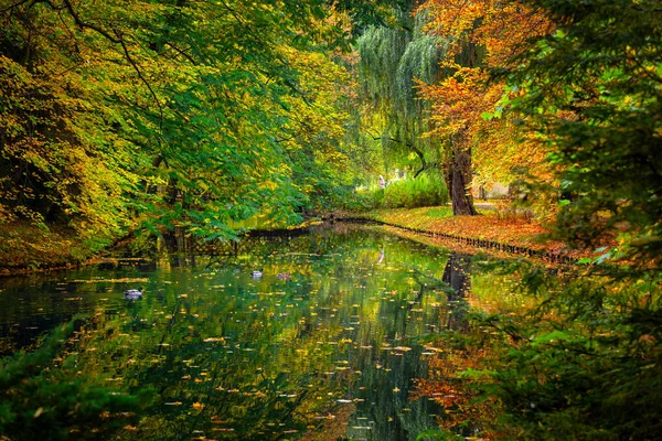 波兰格但斯克奥里瓦公园的黄叶秋景 — 图库照片