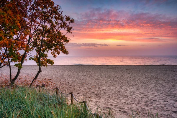 Pláž Baltského Moře Gdyni Orlowo Při Východu Slunce Polsko — Stock fotografie