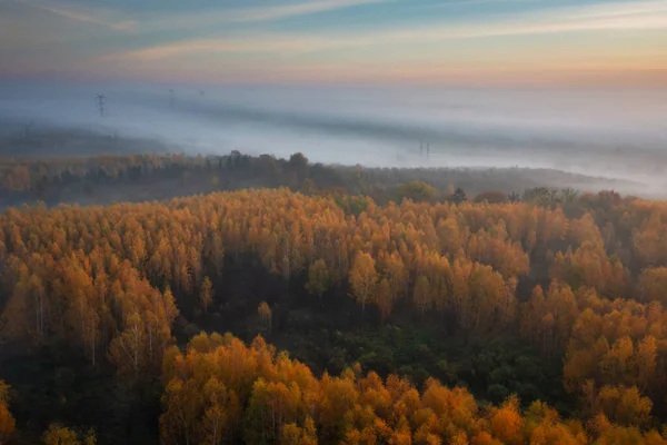 ポーランドの森の上に朝の霧と美しい風景 — ストック写真