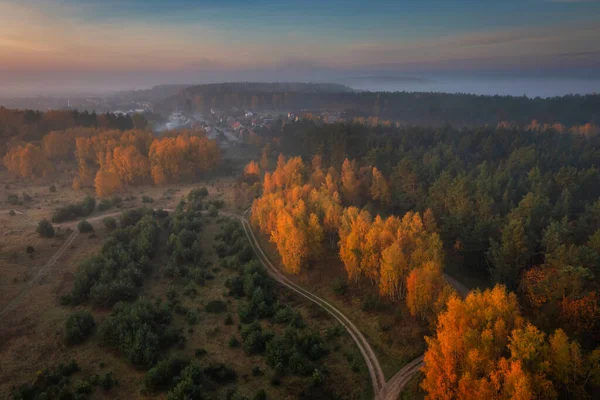 ポーランドの森の上に朝の霧と美しい風景 — ストック写真