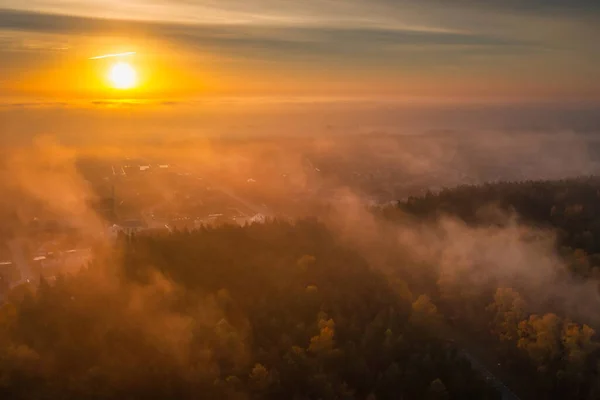 Утренний Туман Над Лесом Зданиями Севере Польши — стоковое фото