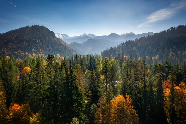 Luchtfoto Van Stad Zakopane Uder Tatra Bergen Herfst Polen — Stockfoto