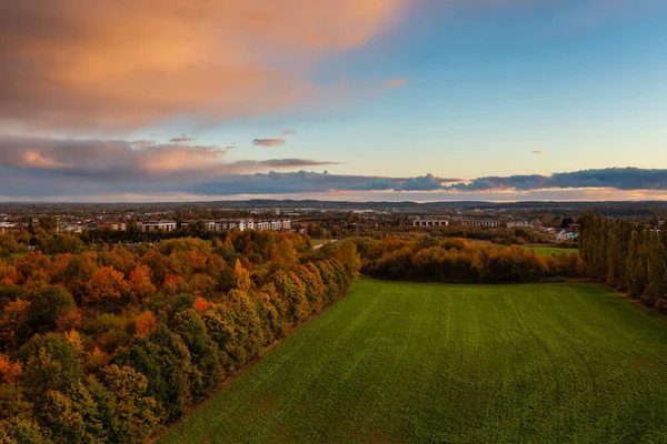 Beautiful Landscape Autumnal Forest Sunset Poland — Stock Photo, Image